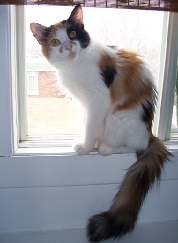Baby Kiki!